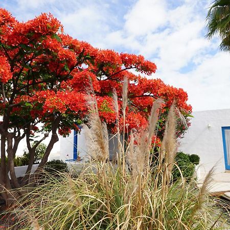 Villa Timfay Corralejo Exterior foto