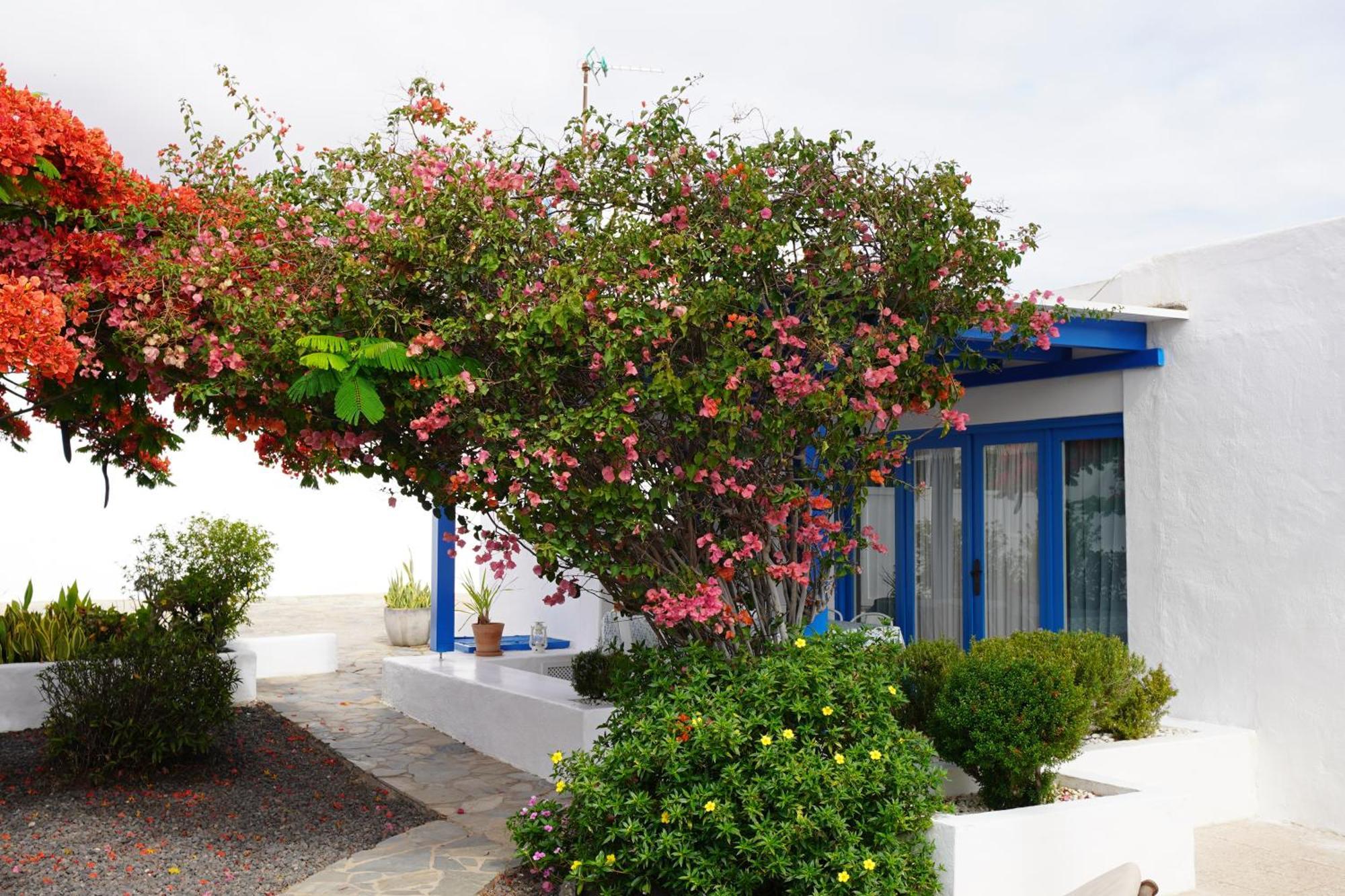 Villa Timfay Corralejo Exterior foto